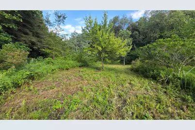N Q Drive, Marshall, MI 49068 - Photo 46