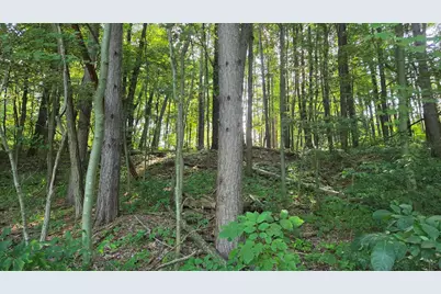 V/L N Q Drive, Marshall, MI 49068 - Photo 52