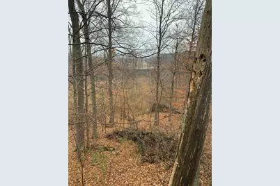 V/L N Q Drive, Marshall, MI 49068 - Photo 62