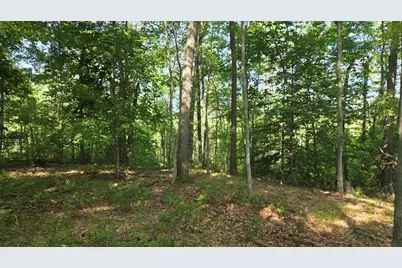 N Q Drive, Marshall, MI 49068 - Photo 70