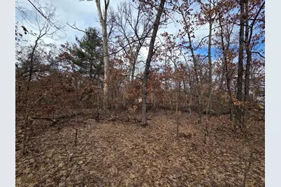 V/L W Mead Street, Baldwin, MI 49304 - Photo 2
