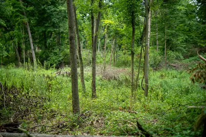 V/L 2000 Ryan Road, Hastings, MI 49058 - Photo 22