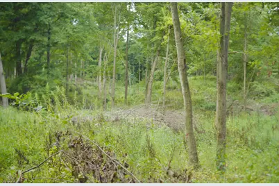 V/L 2000 Ryan Road, Hastings, MI 49058 - Photo 20