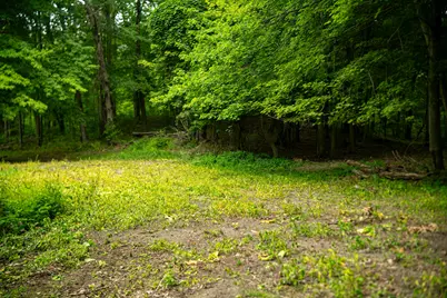 V/L 2000 Ryan Road, Hastings, MI 49058 - Photo 32