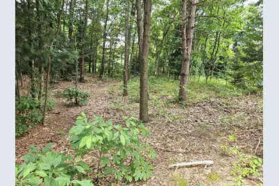 38050 78th Street, Covert, MI 49043 - Photo 2