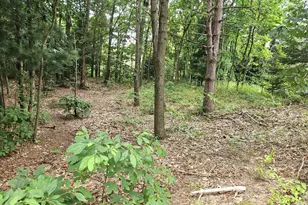 38050 78th St, Covert, MI 49043 - Photo 2