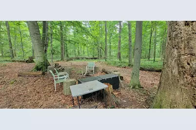 18576 T Drive S, Tekonsha, MI 49092 - Photo 46