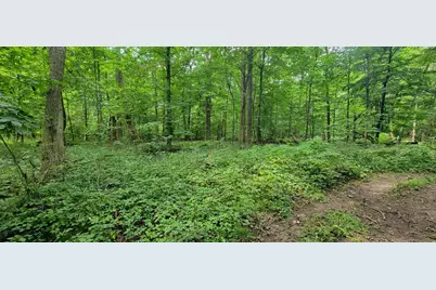 18576 T Drive S, Tekonsha, MI 49092 - Photo 48