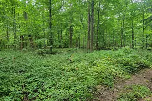 18576 T Dr S, Tekonsha, MI 49092 - Photo 48