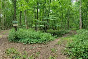18576 T Dr S, Tekonsha, MI 49092 - Photo 46