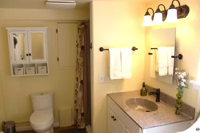 3444 E Pineview Drive, Dexter, MI 48130 - Photo 22