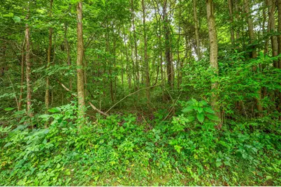 55704 Penn Road, Cassopolis, MI 49031 - Photo 50