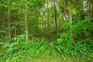 55704 Penn Rd, Cassopolis, MI 49031 - Photo 50