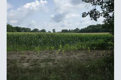 Q Drive South (Parcel 1), Burlington, MI 49029 - Photo 6