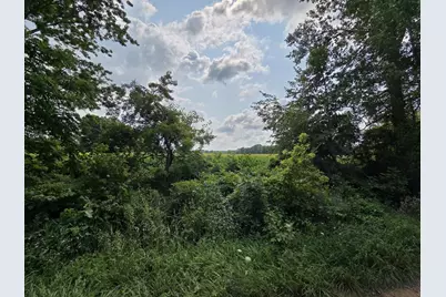 13 Mile Rd (Parcel 3), Burlington, MI 49029 - Photo 16