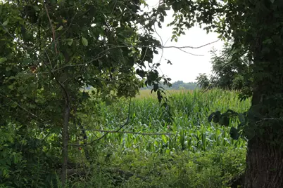 P Drive S (Parcel 4), Burlington, MI 49029 - Photo 6