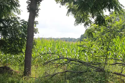 P Drive S (Parcel 4), Burlington, MI 49029 - Photo 10