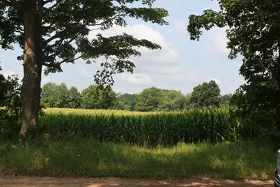 P Drive S (Parcel 4), Burlington, MI 49029 - Photo 2
