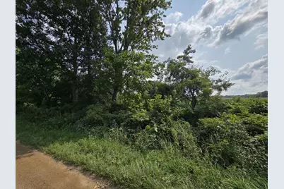 13 Mile Rd (Parcel 5), Burlington, MI 49029 - Photo 2