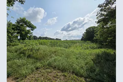 13 Mile Rd (Parcel 5), Burlington, MI 49029 - Photo 1