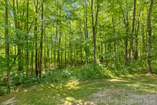 6244 Black Creek Dr, Middleville, MI 49333 - Photo 60