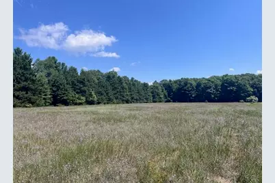 14.7 Acres Erdman Road, Bear Lake, MI 49614 - Photo 8
