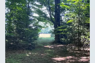 14.7 Acres Erdman Road, Bear Lake, MI 49614 - Photo 6