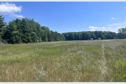 14.7 Acres Erdman Road, Bear Lake, MI 49614 - Photo 4