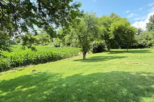 9757 W M-50, Onsted, MI 49265 - Photo 10