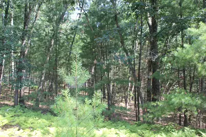 8212 W Goldenrod, Baldwin, MI 49304 - Photo 2