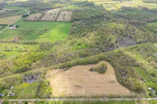 0 V/L White St, Cassopolis, MI 49031 - Photo 1