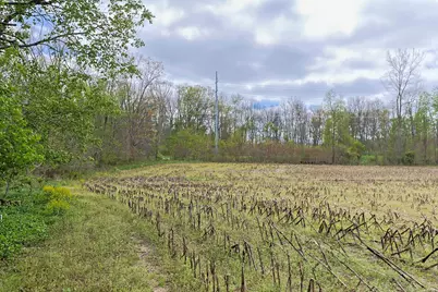 0 V/L White Street, Cassopolis, MI 49031 - Photo 12