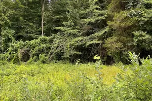 146th Ave, Holland, MI 49423 - Photo 1