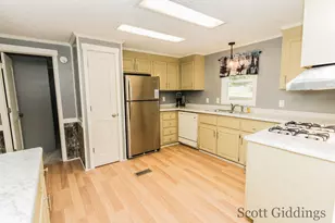 318 E Bellevue St, Stanton, MI 48888 - Photo 30