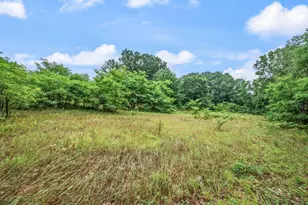 10055 8 Mile Rd, Evart, MI 49631 - Photo 26