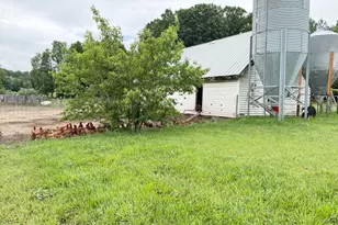11791 Coates Hwy, Brethren, MI 49619 - Photo 10