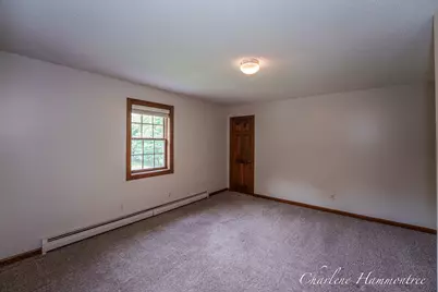 9111 Summit Avenue NE, Rockford, MI 49341 - Photo 76