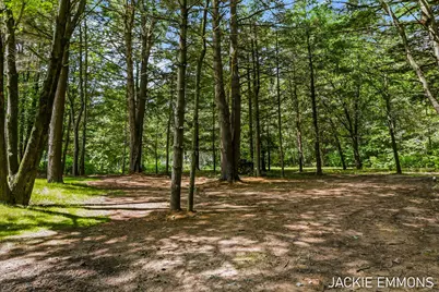 22672 W Kendaville Road, Pierson, MI 49339 - Photo 12