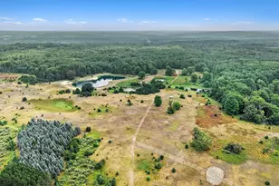 6898 E 5 Mile Rd, Luther, MI 49656 - Photo 12