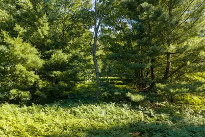 36 N Coe Road, Luther, MI 49656 - Photo 8