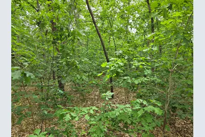 V/L 10-13 W Oliver Road, Baldwin, MI 49304 - Photo 2
