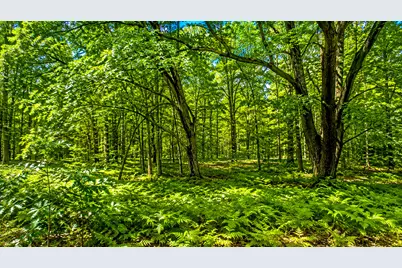 E Hillview Trail, Reed City, MI 49677 - Photo 10