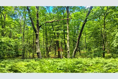 E Hillview Trail, Reed City, MI 49677 - Photo 6