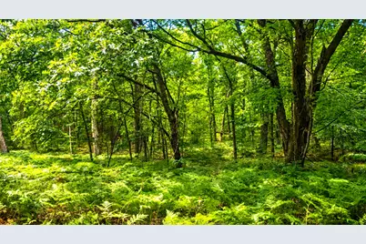 E Hillview Trail, Reed City, MI 49677 - Photo 8