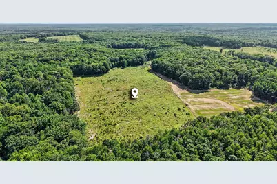 Lot 1 E Bear Paw Drive, White Cloud, MI 49349 - Photo 2