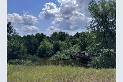 1.5 Acres V/L 170th Avenue, Hersey, MI 49639 - Photo 6