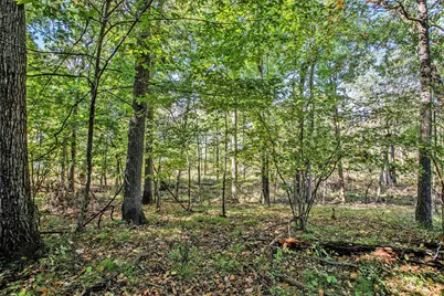 V/L Reeds Lane, Vicksburg, MI 49097 - Photo 14