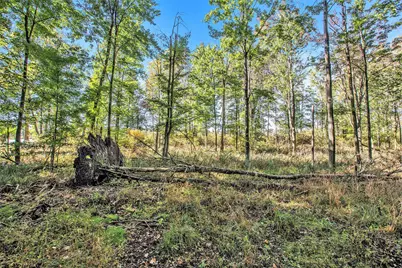 V/L Reeds Lane, Vicksburg, MI 49097 - Photo 16