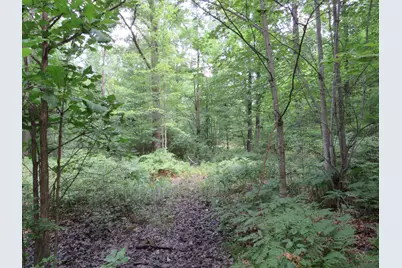 Vl Meridian (M-30) Road, Sanford, MI 48657 - Photo 24