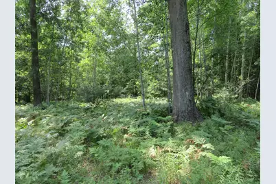 Vl Meridian (M-30) Road, Sanford, MI 48657 - Photo 58